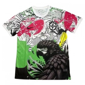 Goedkope Brazilië x Parrot Shirt Speciale Editie 2025