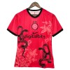 Goedkope Inter Milan Shirt 2025-26 Speciale Editie Goedkope Inter Milan Shirt 2025-26 Speciale Editie