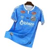 Goedkope Santos FC Dragon Shirt 2025-26 Blauwe Goedkope Santos FC Dragon Shirt 2025-26 Blauwe