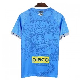 Goedkope Santos FC Dragon Shirt 2025-26 Blauwe