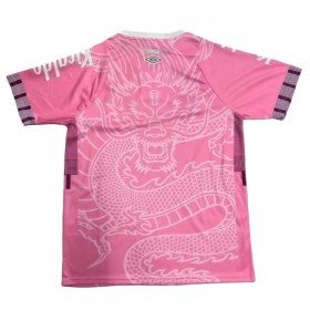 Goedkope Santos FC Dragon Shirt 2025-26 Roze