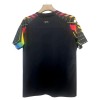 Goedkope Sunderland Shirt 2025-26 Speciale Editie