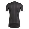 Goedkope Aston Villa Doelman Shirt 2025-26 Zwarte