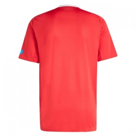 Goedkope FC Nurnberg Third Shirt 2025-26
