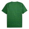 Goedkope Manchester City Pre-Match Shirt 2025-26 Groene