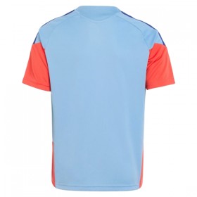 Goedkope Japan World Cup 2026 Trainingsshirt Blauwe