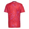 Goedkope Costa Rica Thuisshirt World Cup 2026
