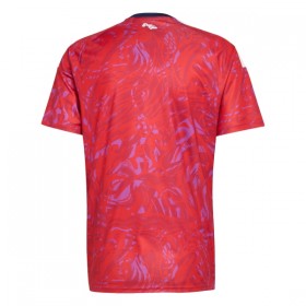 Goedkope Costa Rica Thuisshirt World Cup 2026