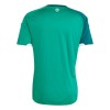 Goedkope Noord-Ierland Thuisshirt World Cup 2026