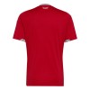 Goedkope Wales Thuisshirt World Cup 2026