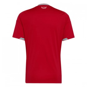 Goedkope Wales Thuisshirt World Cup 2026