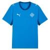 Goedkope IJsland Thuisshirt World Cup 2026