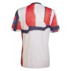 Goedkope FC Bayern München Pre-Match Shirt 2025-26