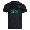 Goedkope Ierland Shirt 2025-26 Speciale Editie