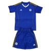 Goedkope Leicester City Kids Thuistenue 2025-26 Goedkope Leicester City Kids Thuistenue 2025-26