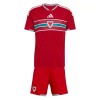 Goedkope Wales Kids Thuistenue World Cup 2026