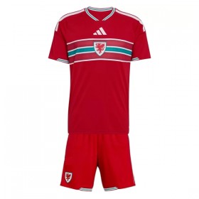 Goedkope Wales Kids Thuistenue World Cup 2026