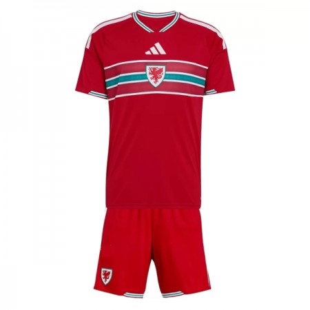 Goedkope Wales Kids Thuistenue World Cup 2026
