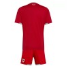 Goedkope Wales Kids Thuistenue World Cup 2026