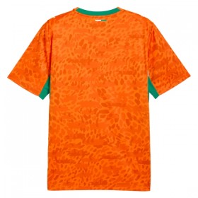 Goedkope Ivoorkust Thuisshirt World Cup 2026