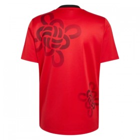 Goedkope Manchester United Cultural Story Shirt 2025-26 Speciale Editie