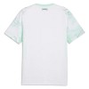 Goedkope Oostenrijk Uitshirt World Cup 2026