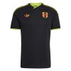 Goedkope Peru Uitshirt World Cup 2026