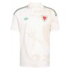 Goedkope Wales Uitshirt World Cup 2026