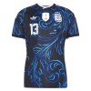 Goedkope Argentinië Romero 13 Uitshirt World Cup 2026