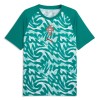 Goedkope Portugal Pre-Match Shirt World Cup 2026 Groene Goedkope Portugal Pre-Match Shirt World Cup 2026 Groene