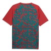 Goedkope Portugal Pre-Match Shirt World Cup 2026 Rode