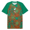 Goedkope Ivoorkust Pre-Match Shirt World Cup 2026