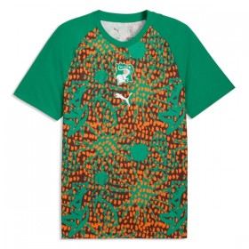 Goedkope Ivoorkust Pre-Match Shirt World Cup 2026