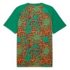 Goedkope Ivoorkust Pre-Match Shirt World Cup 2026