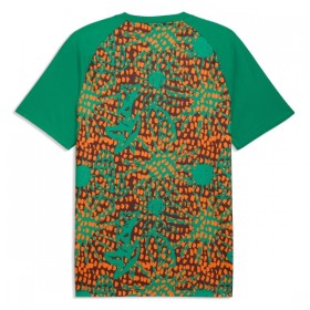 Goedkope Ivoorkust Pre-Match Shirt World Cup 2026