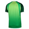 Goedkope Nigeria Thuisshirt 2026-27
