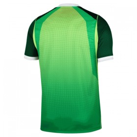 Goedkope Nigeria Thuisshirt 2026-27