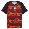 Goedkope Egypte Pre-Match Shirt World Cup 2026
