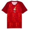 Goedkope Ghana Pre-Match Shirt World Cup 2026