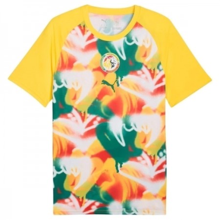 Goedkope Senegal Pre-Match Shirt World Cup 2026 Goedkope Senegal Pre-Match Shirt World Cup 2026