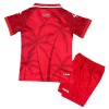Goedkope Haiti Kids Third Tenue World Cup 2026