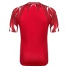 Goedkope Tunesië Uitshirt World Cup 2026