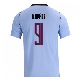 Goedkope Uruguay Darwin Nunez 9 Thuisshirt World Cup 2026