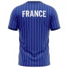 Goedkope Frankrijk Pre-Match Shirt 2026