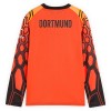 Goedkope Borussia Dortmund Doelman Kids Thuistenue 2026-27 Oranje Lange Mouw