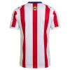 Goedkope Chivas de CD Guadalajara 120th Jubileum Shirt 2025-26