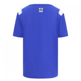 Goedkope Cardiff City Thuisshirt 2026-27