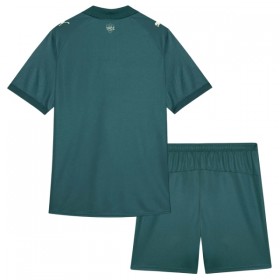 Goedkope Fluminense FC Kids Third Tenue 2026-27