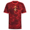 Goedkope Internacional Third Shirt 2026-27