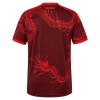 Goedkope Internacional Third Shirt 2026-27